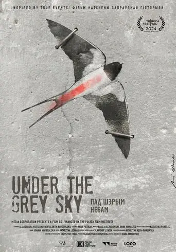 Under The Grey Sky (2024)