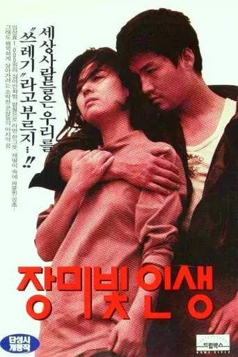 Jangmibit Insaeng (1994)