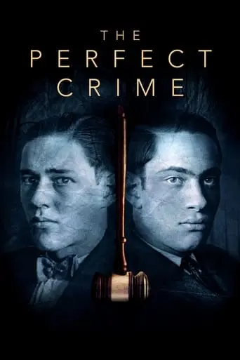 The Perfect Crime (2016)