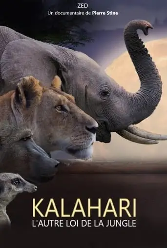 Kalahari, L'autre Loi De La Jungle (2021)