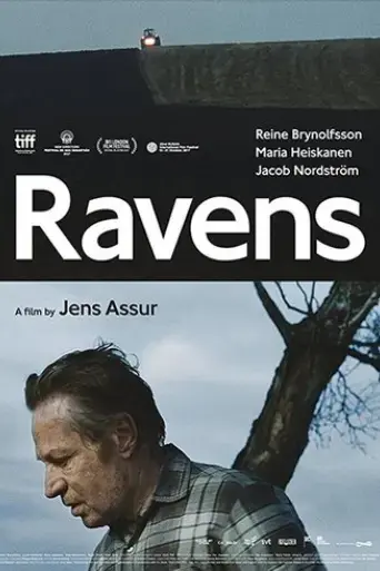 ravens-2017