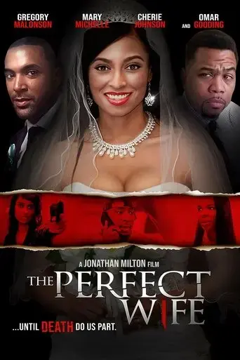 the-perfect-wife-2017