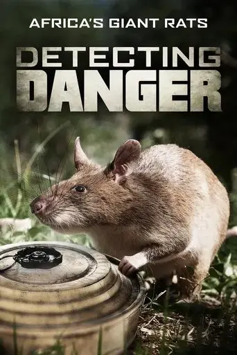 detecting-danger-africa-s-giant-rats-2019