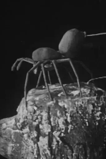 urban-science-to-demonstrate-how-spiders-fly-1909