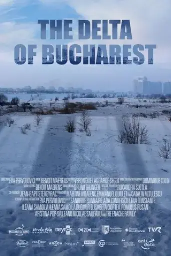 the-delta-of-bucharest-2020