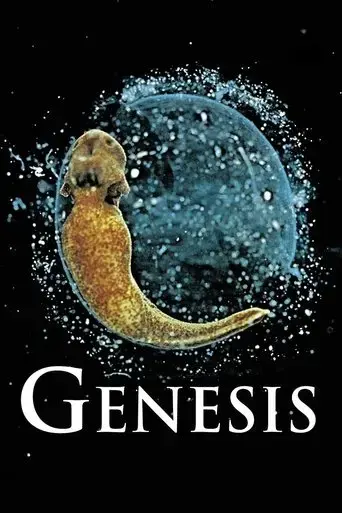 genesis-2004