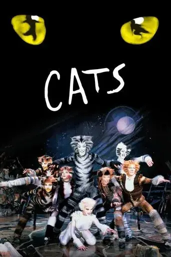 cats-1998