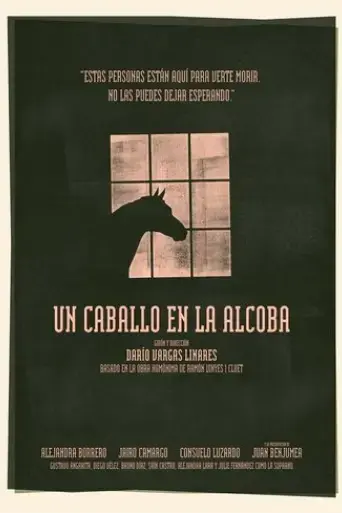 un-caballo-en-la-alcoba-2024
