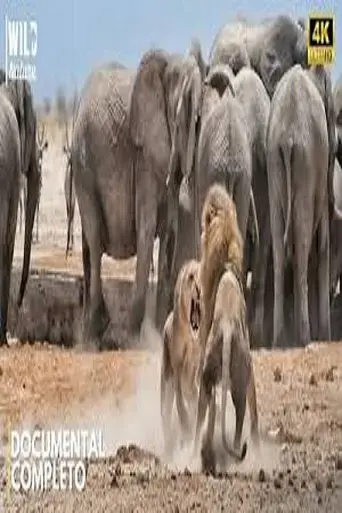 africa-the-brutal-empire-of-wildlife-2025
