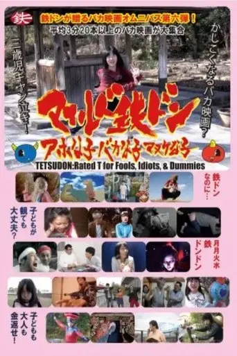 tetsudon-rated-t-for-fools-idiots-and-dummies-2019