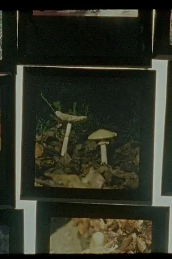 Poster The Shadow Forest (2025)