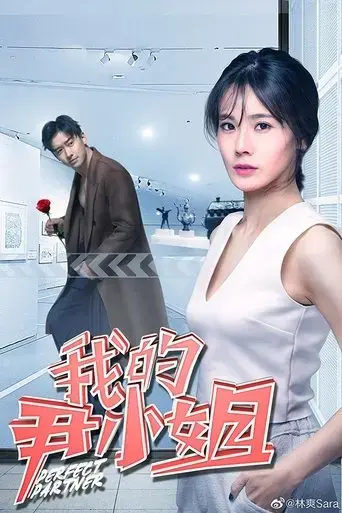 perfect-partner-2019