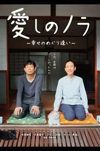 itoshi-no-nora-shiawase-no-meguriai-2017