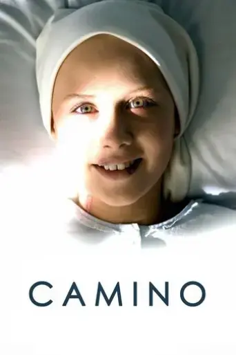 camino-2008