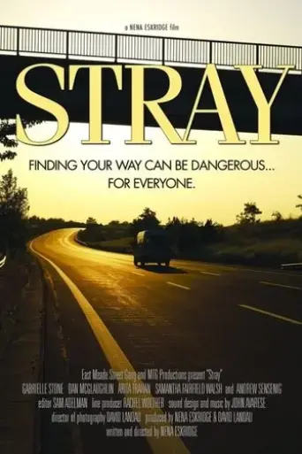 stray-2015