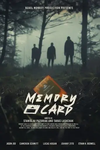 memory-card-2024