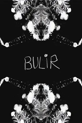 bulir-2024