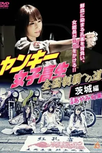 yankee-high-school-girls-road-to-national-domination-4-ibaraki-edition-2016