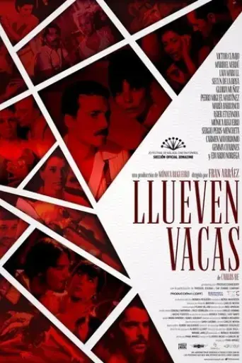llueven-vacas-2017
