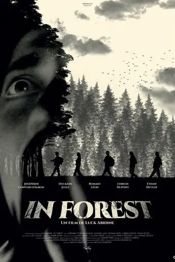 in-forest-2025