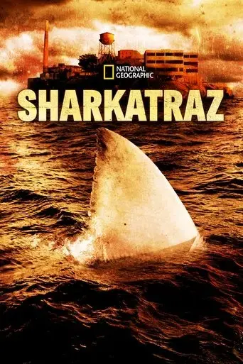 sharkatraz-2016