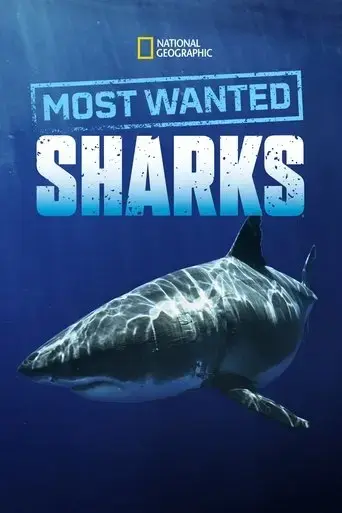 most-wanted-sharks-2020