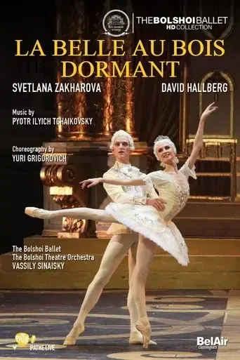 bolshoi-ballet-the-sleeping-beauty-2011