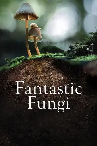 fantastic-fungi-2019