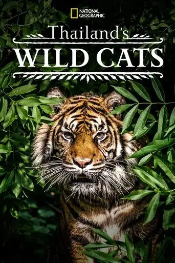 thailand-s-wild-cats-2021