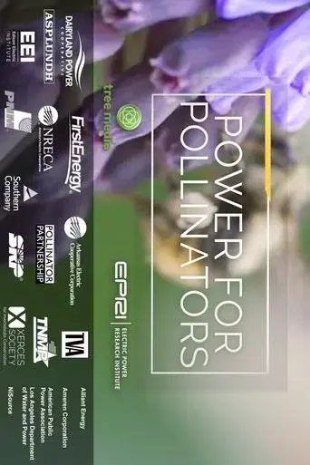 power-for-pollinators-2020