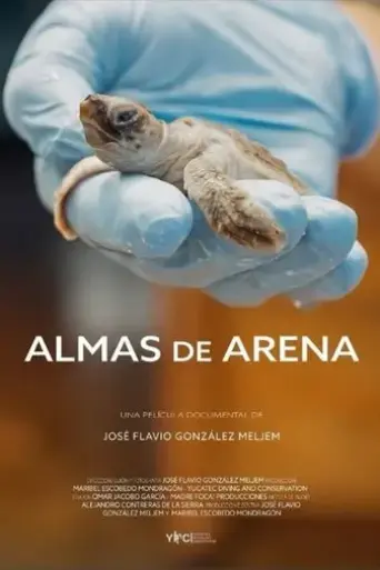 almas-de-arena-2025
