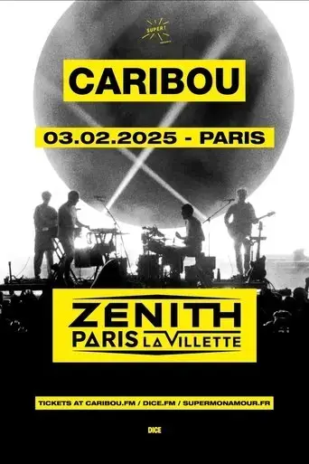 caribou-zenith-paris-la-villette-arte-concert-2025