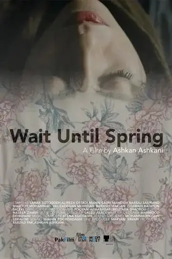 wait-until-spring-2024