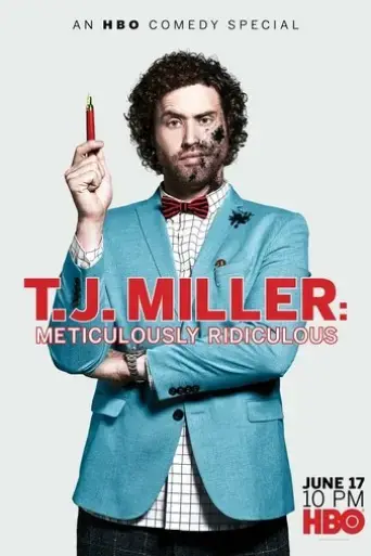 t-j-miller-meticulously-ridiculous-2017