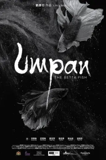 umpan-the-betta-fish-2025