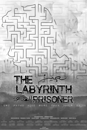 the-labyrinth-prisoner-2021