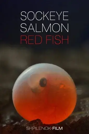 sockeye-salmon-red-fish-2020