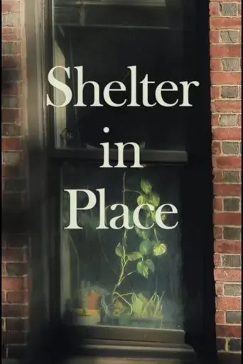 shelter-in-place-2020