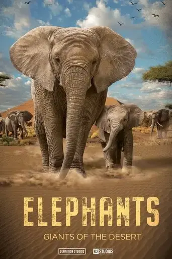 the-wonderful-world-of-elephants-2024