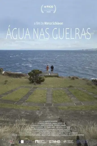 agua-nas-guelras-2022