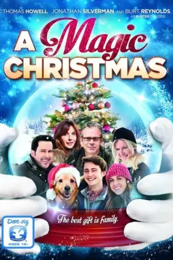 a-magic-christmas-2014