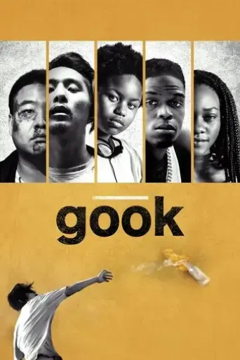 gook-2017