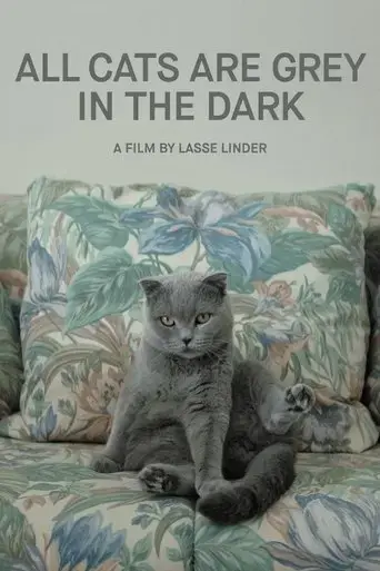 all-cats-are-grey-in-the-dark-2019