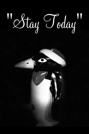 stay-today-2024