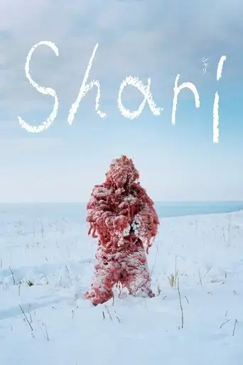 shari-2021