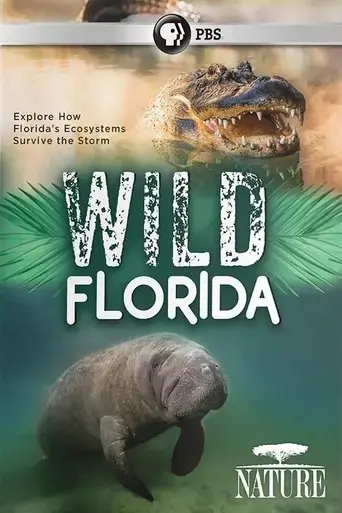 wild-florida-2020
