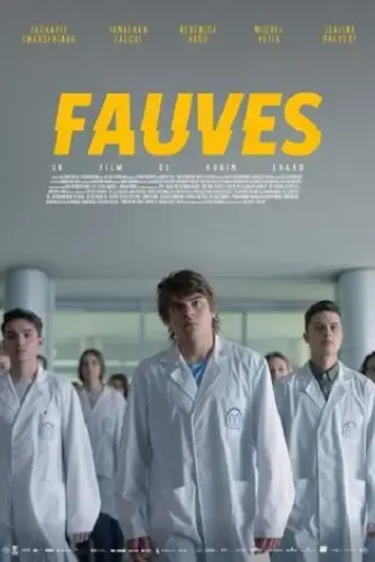 fauves-2017