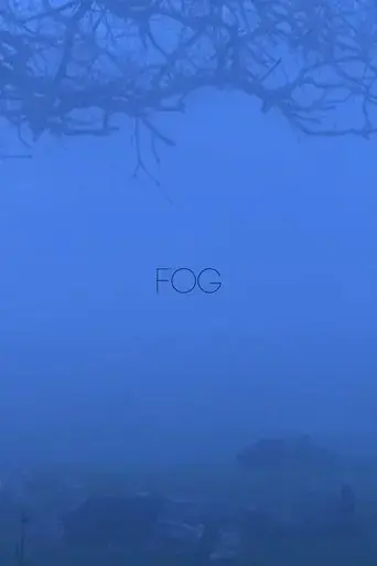 borderless-fog-2024