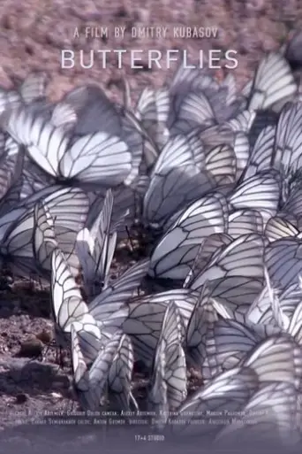 butterflies-2016
