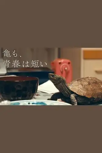 guimo-qing-chunha-duani-2023